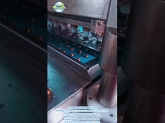 PD1000 Πλήρως αυτόματη διχρωματική γραμμή παραγωγής μπισκότων