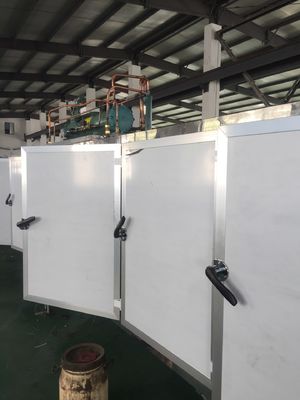 2025 Pure Fruit Hard Candy Processing Line For All Kinds of Hard Candy Like Apple, Strawberry, Lemon, Mango, Lichi etc