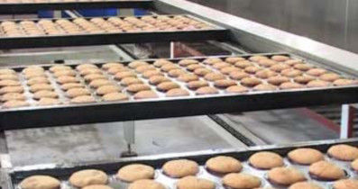 Full Automatic Custard Pie Cake Production Line, Cup Cake Production Machine, Layer Cake Processing Line Equipment